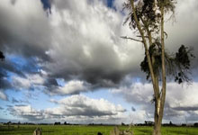 十五运U16女足：开门红 山东队6-0甘肃队.