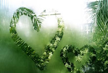 28圈：羽毛球：郑思维黄雅琼确认出战全运会.