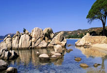 WTA1000印第安维尔斯站：郑钦文2-0科斯秋克.